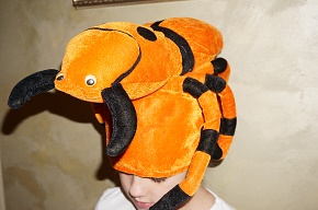 �������� ���� ��� ���������