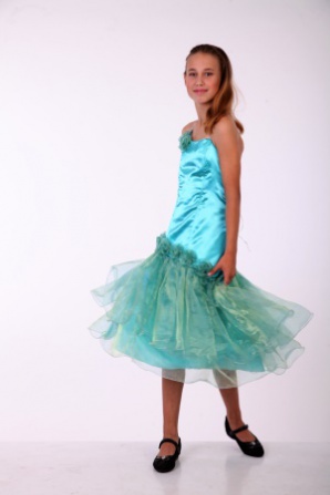 ������ ���� ���������